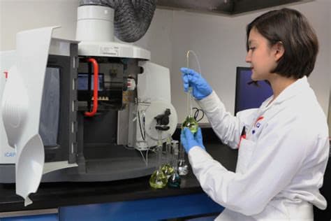 Superconductividad a temperatura ambiente en nuevos hidruros